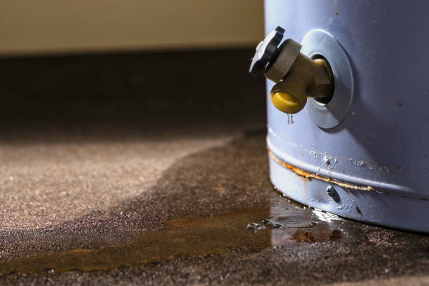Best Water damage restoration mold remediation  in St Bonifacius, MN