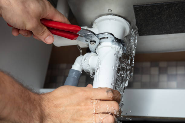 Best Carpet water damage restoration  in St Bonifacius, MN