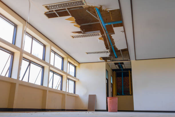Best Local water damage restoration  in St Bonifacius, MN
