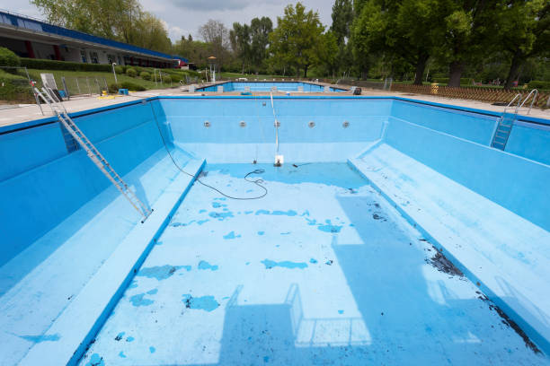 Best Water damage contractors near me  in St Bonifacius, MN