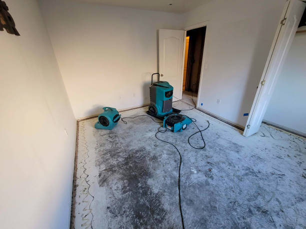 Best Flood restoration services  in St Bonifacius, MN