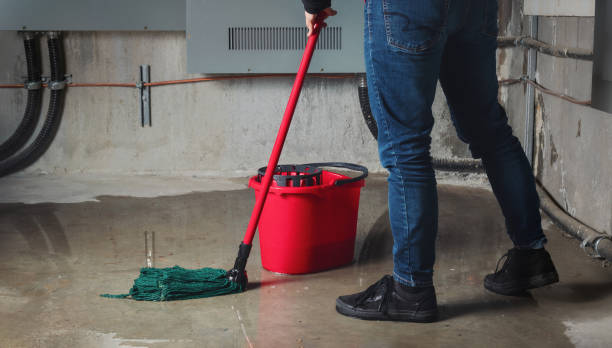Best Water damage cleanup near me  in St Bonifacius, MN