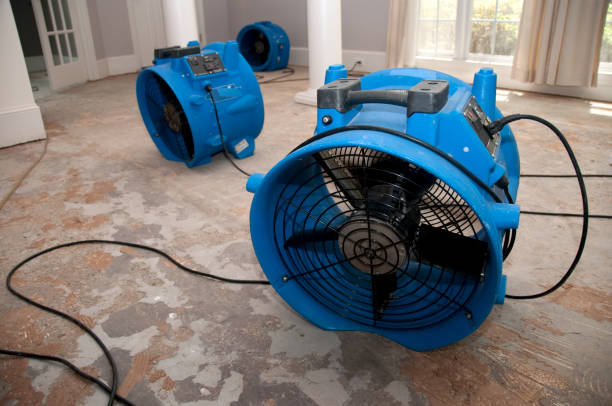 Best 24/7 water damage repair  in St Bonifacius, MN