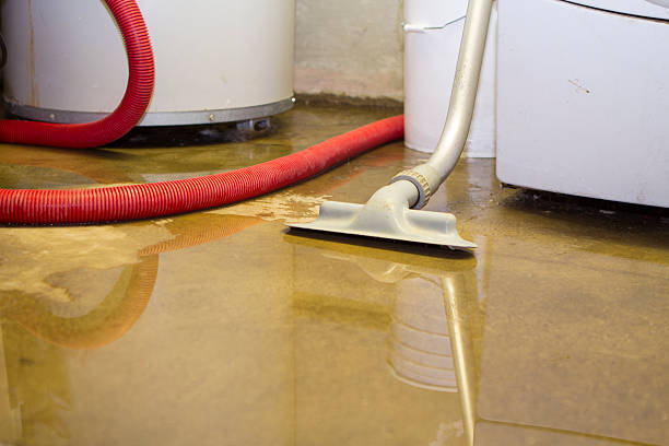 Best 24-hour water damage restoration  in St Bonifacius, MN