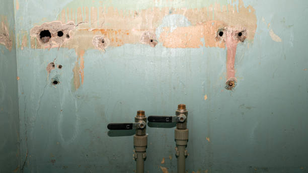 Best Commercial water damage restoration  in St Bonifacius, MN