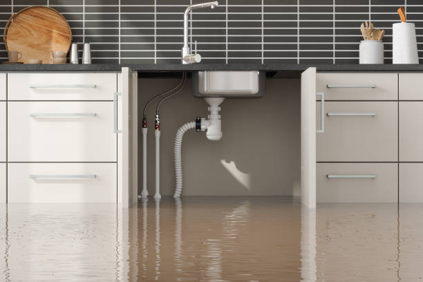 Best Water damage restoration near me  in St Bonifacius, MN