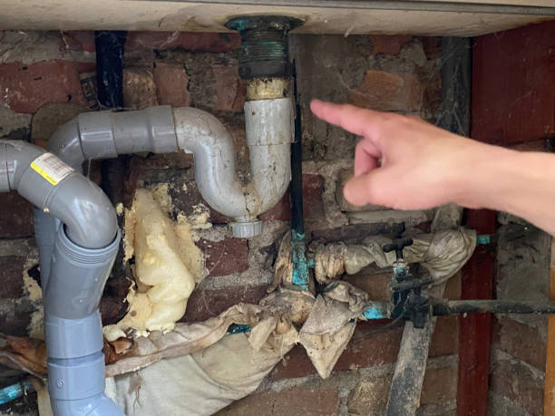 Best Local water damage restoration  in St Bonifacius, MN
