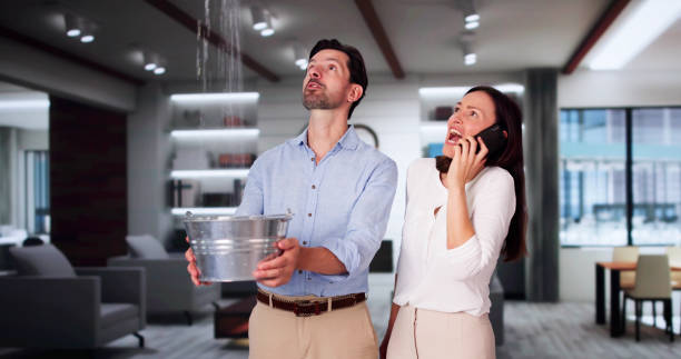 Best Basement water damage restoration  in St Bonifacius, MN